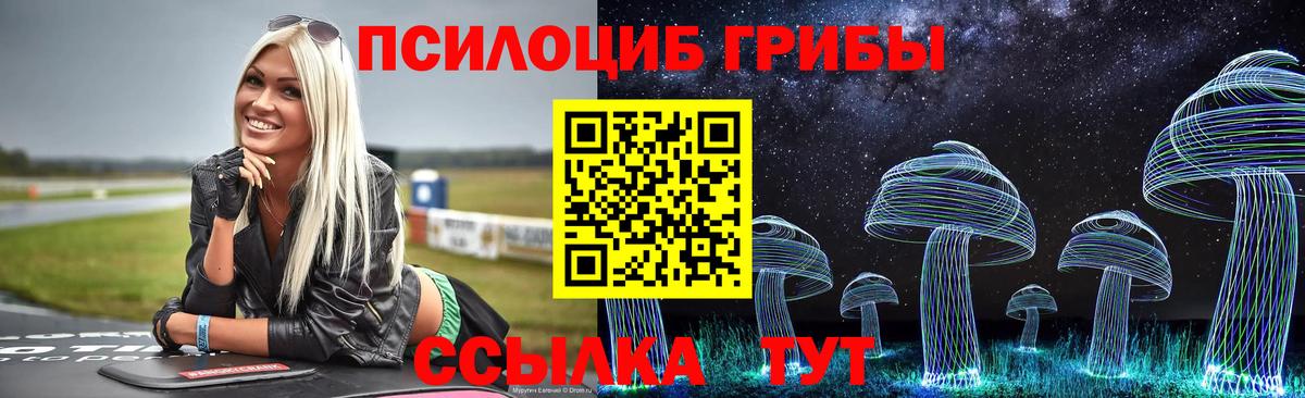 Шелехов  Псилоцибиновые грибы Cubensis  где можно купить наркотик  Вход с VPN 